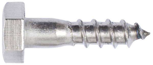 M16 Coach Screw Stainless 316